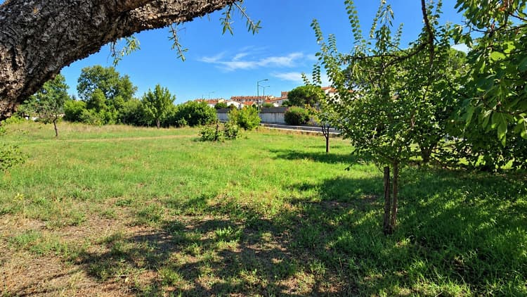 Terrain - Puget Sur Argens 544m2