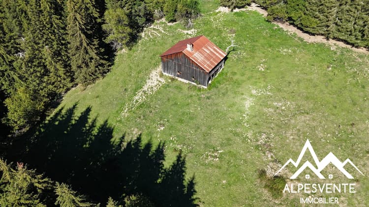 Chalet le 1310
