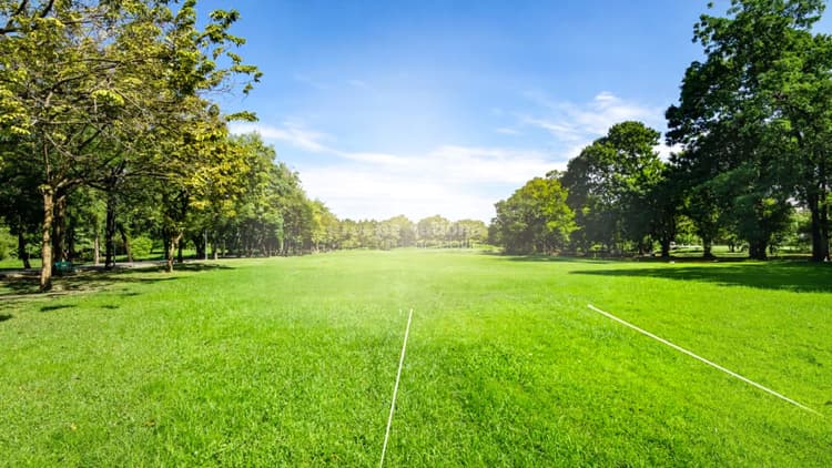 Terrain Chateaurenard 800 m2 libre constructeur