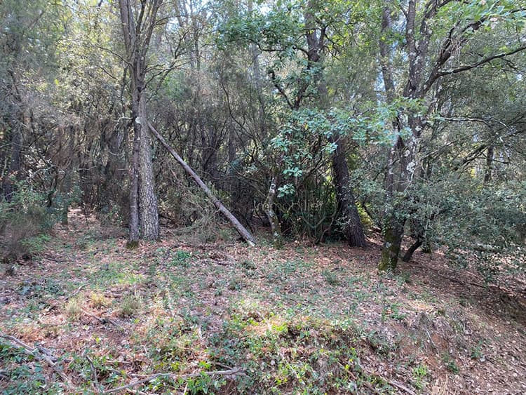 EXCLUSIVITE - LES ARCS /LE MUY - TERRRAINS NON CONSTRUCTIBLE DE 4877 M²
