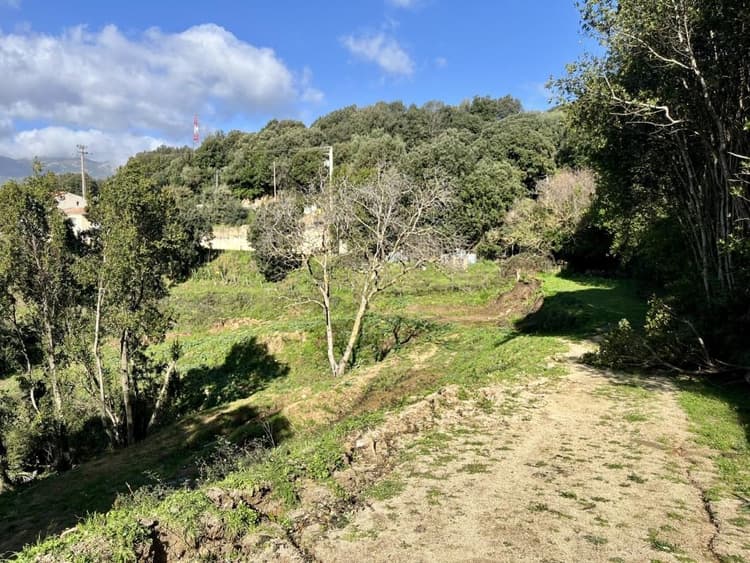 ARBELLARA - TERRAIN CONSTRUCTIBLE - 2594m2