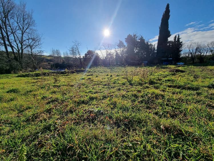 Terrain