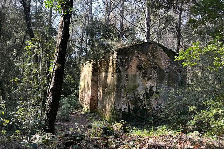 À Vendre ? Terrain naturel de 8 300 m² à Trans-en-Provence