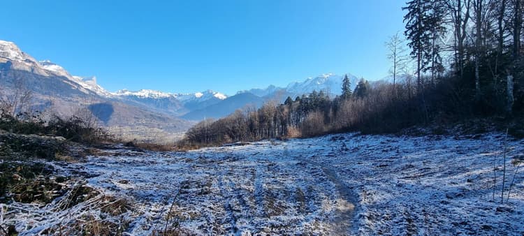 Terrain à la vente à Combloux – Vue Mont-Blanc & Projet de 2 Cha