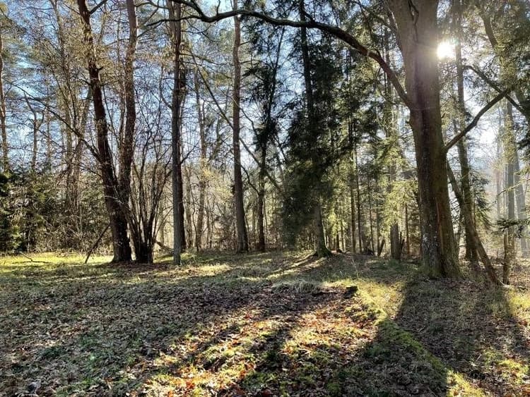 NEUNHOFFEN, terrain 1 hectare 40 ares en partie constructible