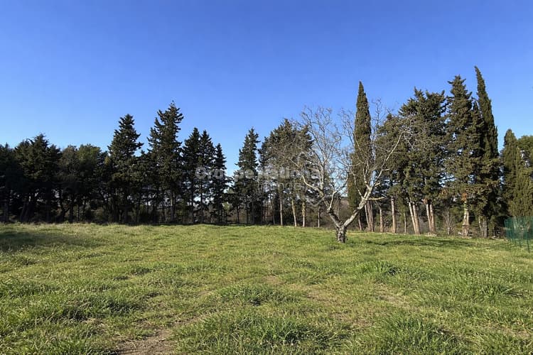 Exclusivité - Terrain à bâtir viabilisé - 894 m2 environ - Aubignan - Rare et bel emplacement