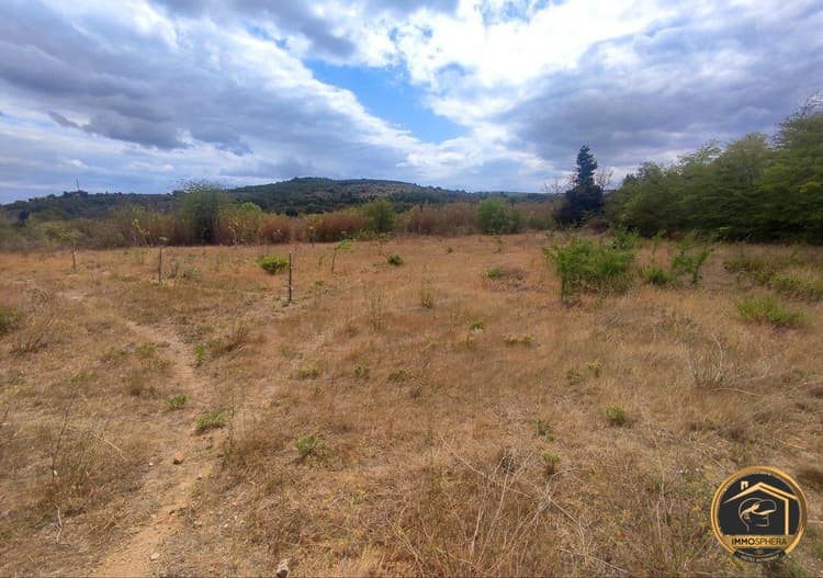 TERRAIN NON CONSTRUCTIBLE - PORTELS DES CORBIERES ?