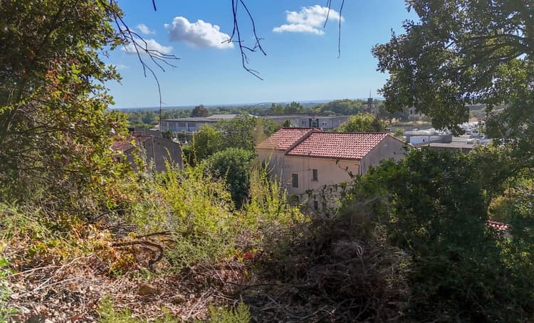 Vaste terrain constructible à Agnatellu