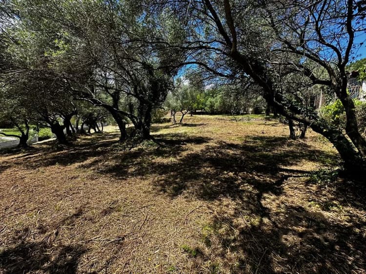 Terrain à vendre Alès
