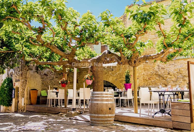 À VENDRE - RESTAURANT DE CARACTÈRE À GALLARGUES-LE-MONTUEUX (30)