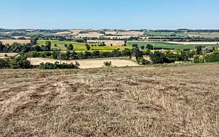 Terrain