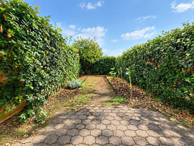 Chambre d'amour appartement t2 avec Jardinet et terrasse