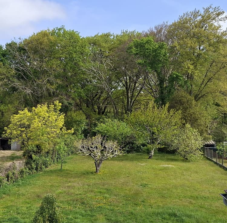 terrain constructible centre ville