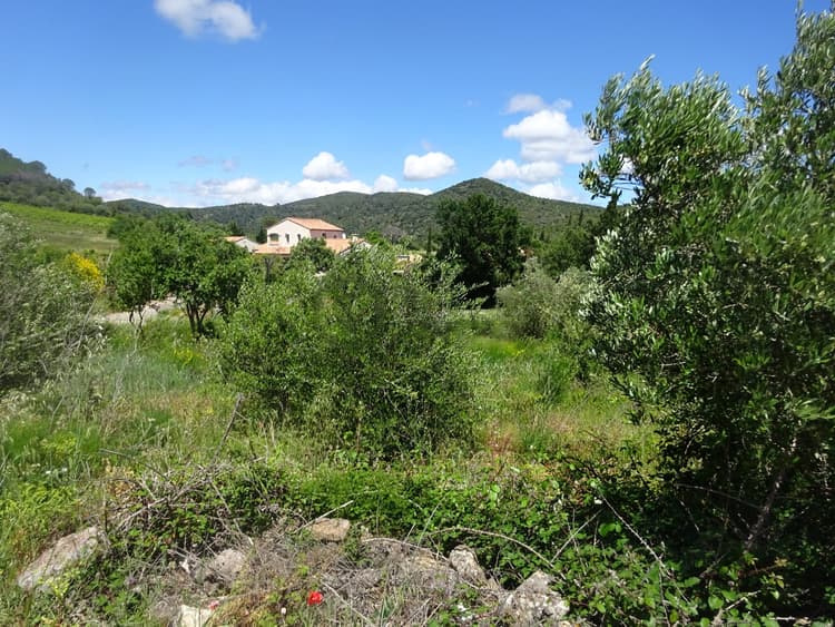 terrain de 910 m2 pour une villa 4 faces ou 2 lots