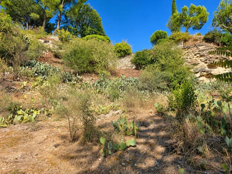 Terrain constructible à vendre à Villeneuve-les-avignon - 10