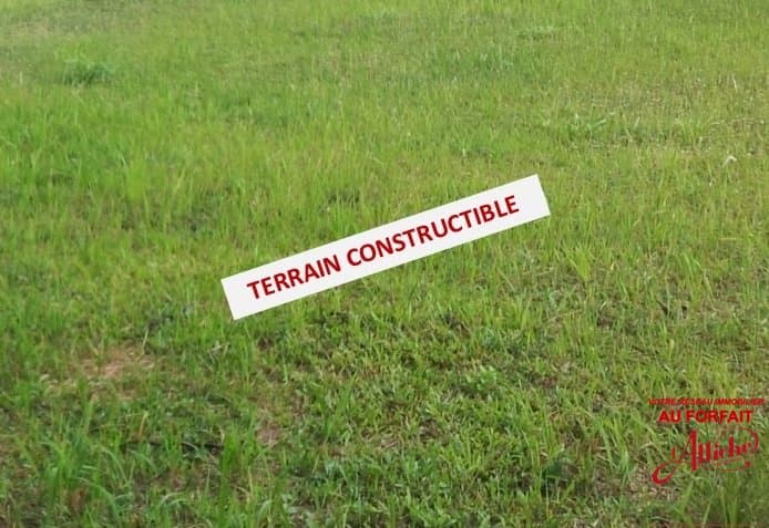 Terrain