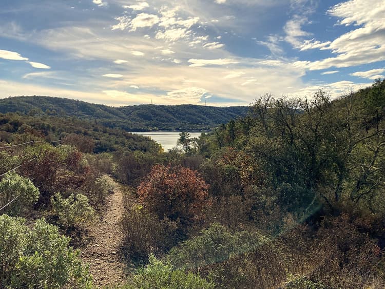 TERRAIN DE LOISIRS - MONTAUROUX