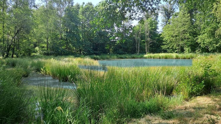 À VENDRE SUPERBE TERRAIN DE LOISIRS AVEC 2 ÉTANGS À SAINT