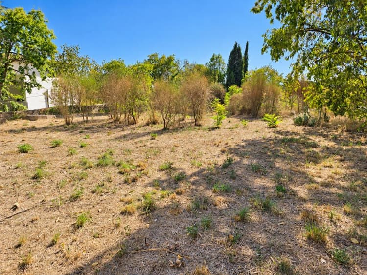 Terrain viabilisé 953 m2 à vendre Villeneuve-lès-Avignon
