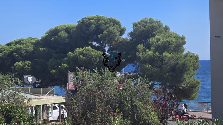 T3 Rénové - Plage et commerces à pied - Aperçu mer