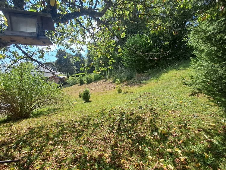 Terrain