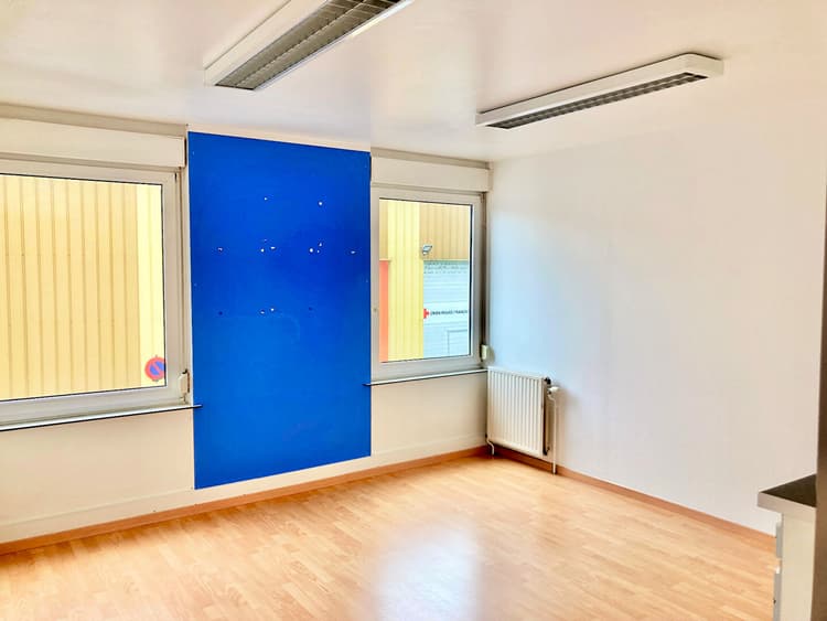 ENSEMBLE DE LOCAUX COMMERCIAUX ET D'ENTREPÔTS - MAXÉVILLE - 4 913 m²…