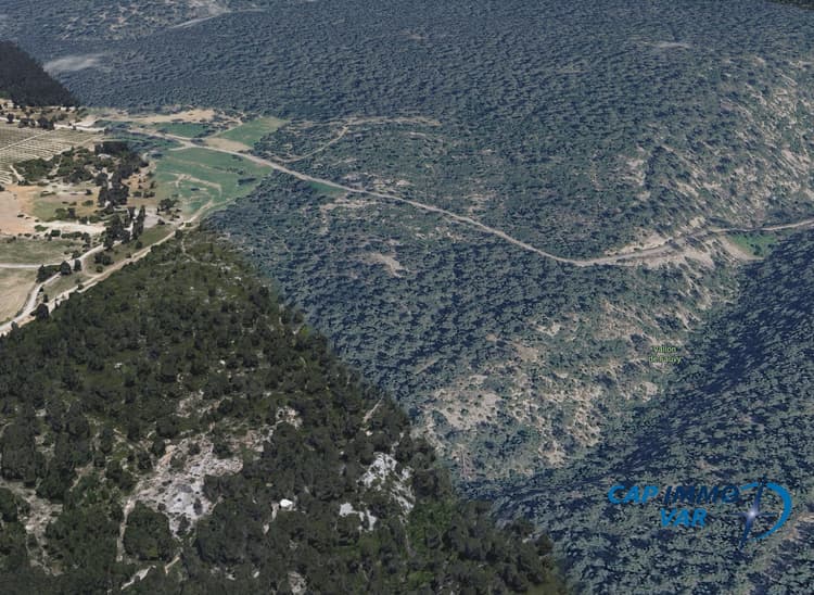 Terrain forêt de 4 ha