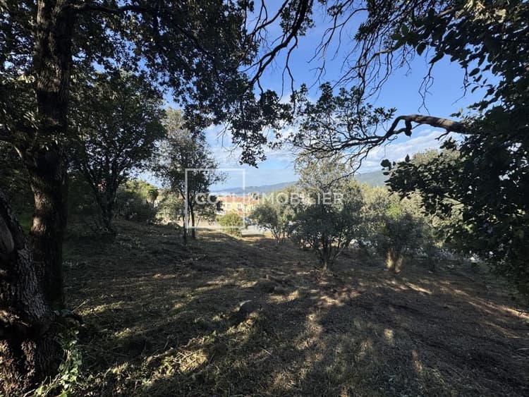 VIGGIANELLO - TERRAIN A BATIR - 1367m2