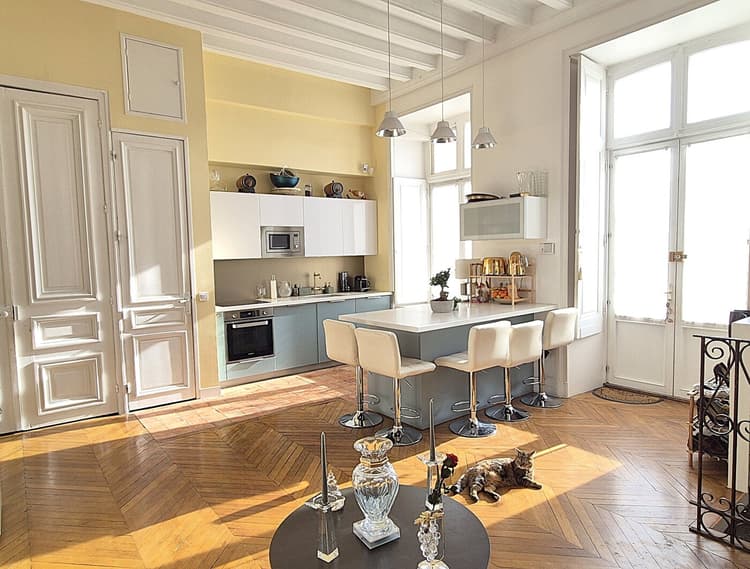 Appartement au cœur d'un château du XVII? siècle-