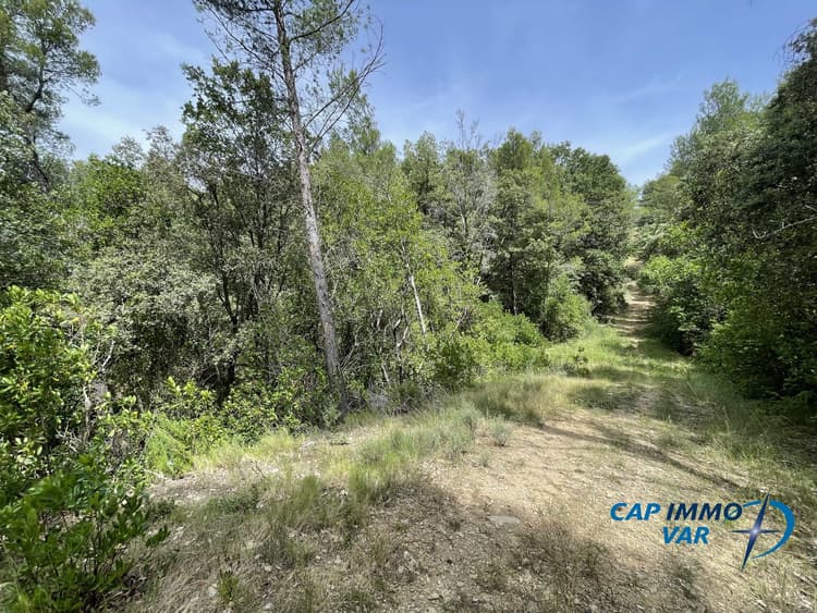 Terrain forestier avec ruine de Cabanon