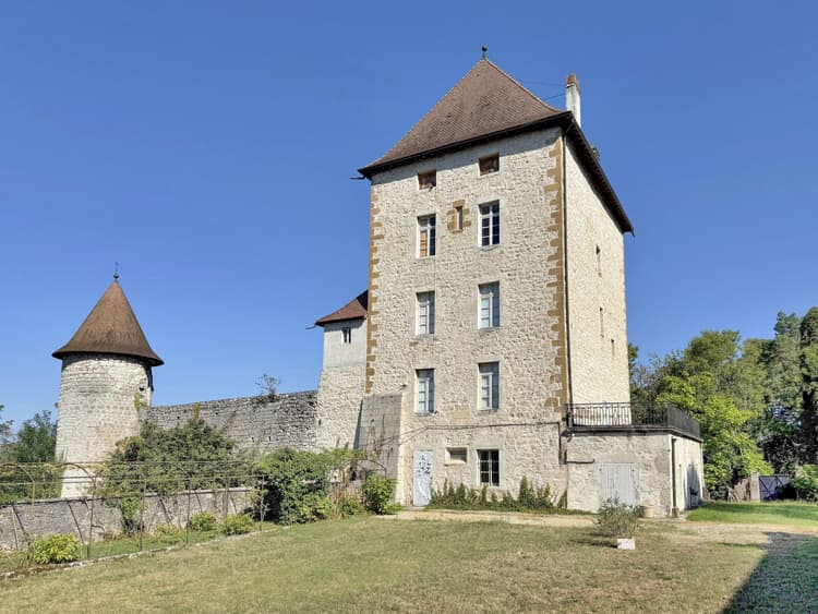 Château historique du XII °siècle dans un cadre unique pour