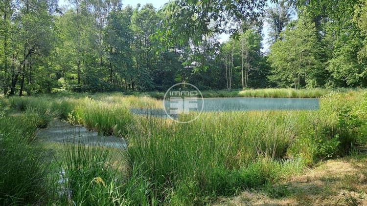 À VENDRE SUPERBE TERRAIN DE LOISIRS AVEC 2 ÉTANGS À SAINT