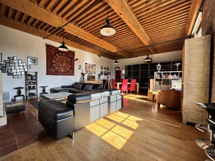 Loft de charme 125 m2 Carrez/ 175 m2 au sol Parc privé