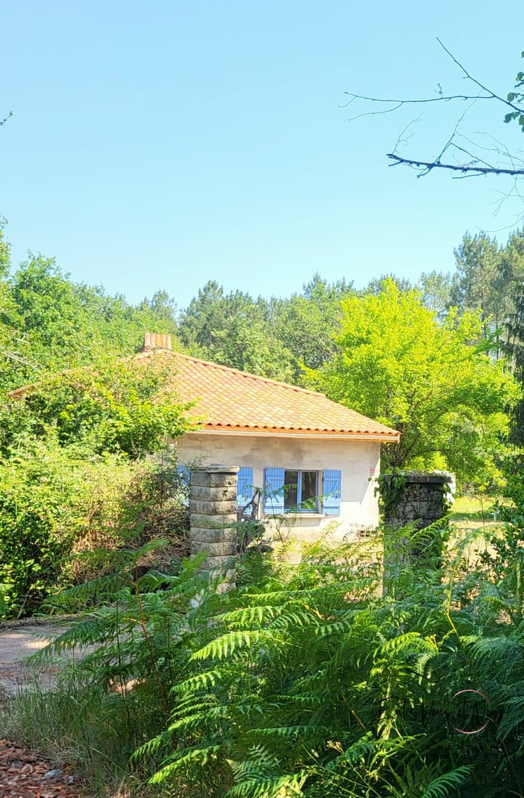 Landaise avec dépendances et forêt