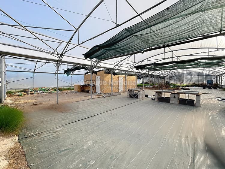 Terrain agricole 8 800 m2 serre bioclimatique arrosage automatique