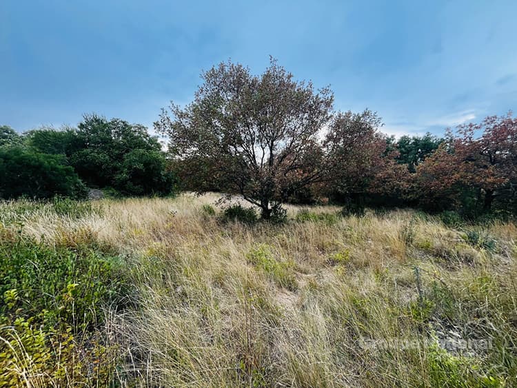 Terrain constructible de 3644 m2 prés de Goudargues