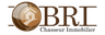 BR IMMOBILIER