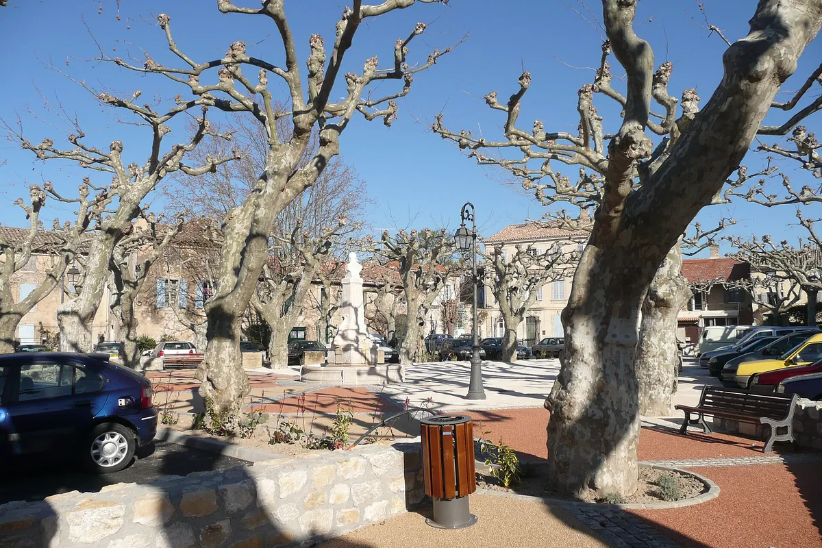 Place ombragée de platanes au centre du village de Noves, Bouches-du-Rhône