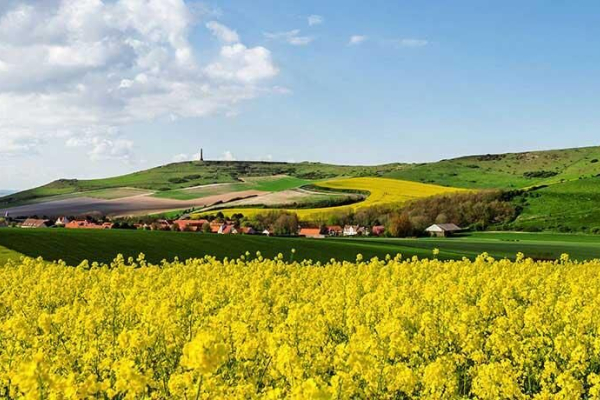 Photo d'équipe Immobilière du Valois