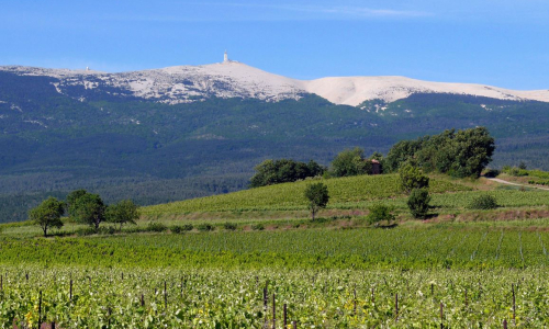 Vaucluse