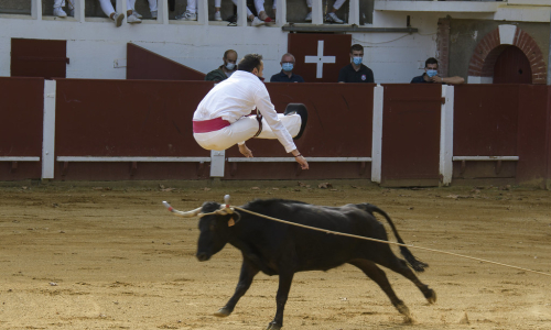 Landes