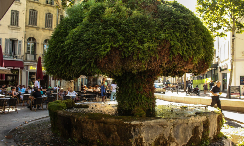 SALON DE PROVENCE