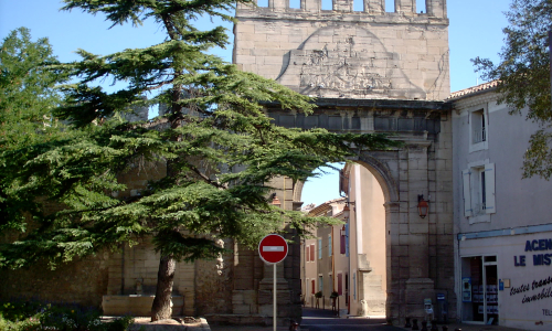 Investir à Monteux en 2026 : prix, quartiers et rendements
