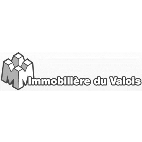 IMMOBILIERE DU VALOIS