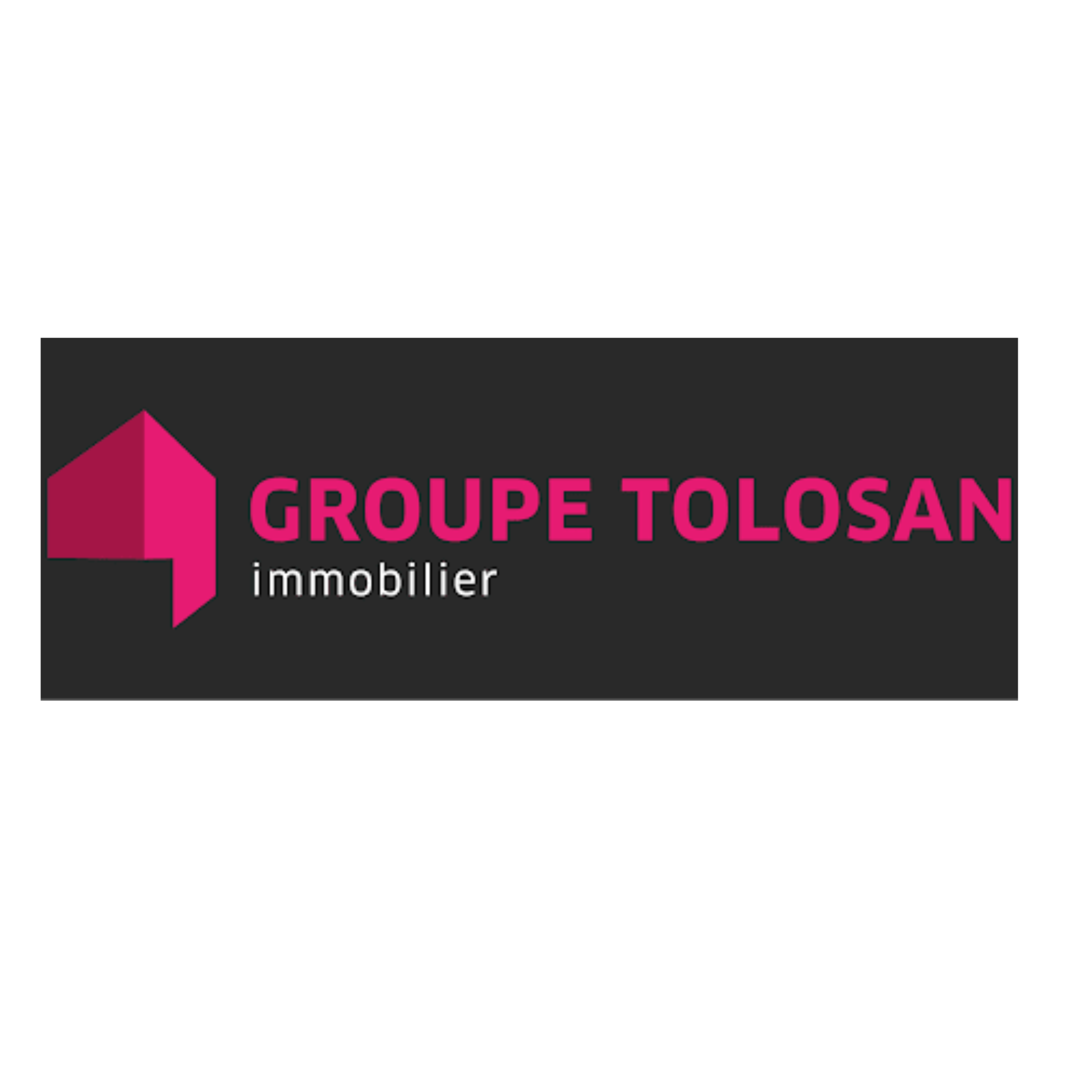 GROUPE TOLOSAN IMMOBILIER - REVEL