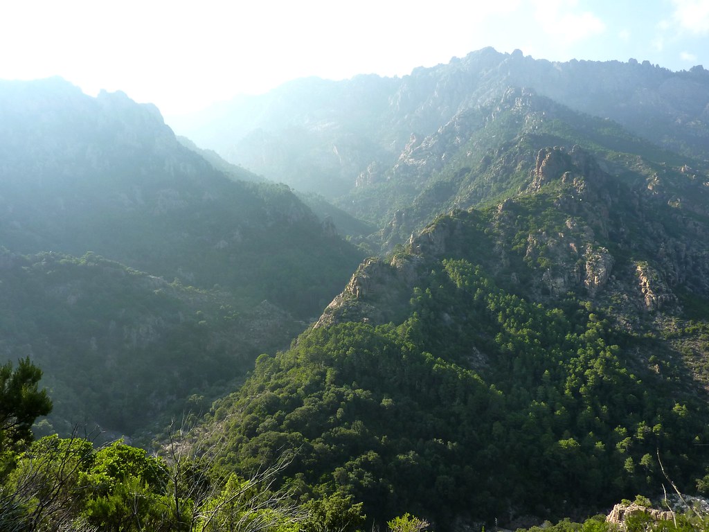 Sarrola-Carcopino