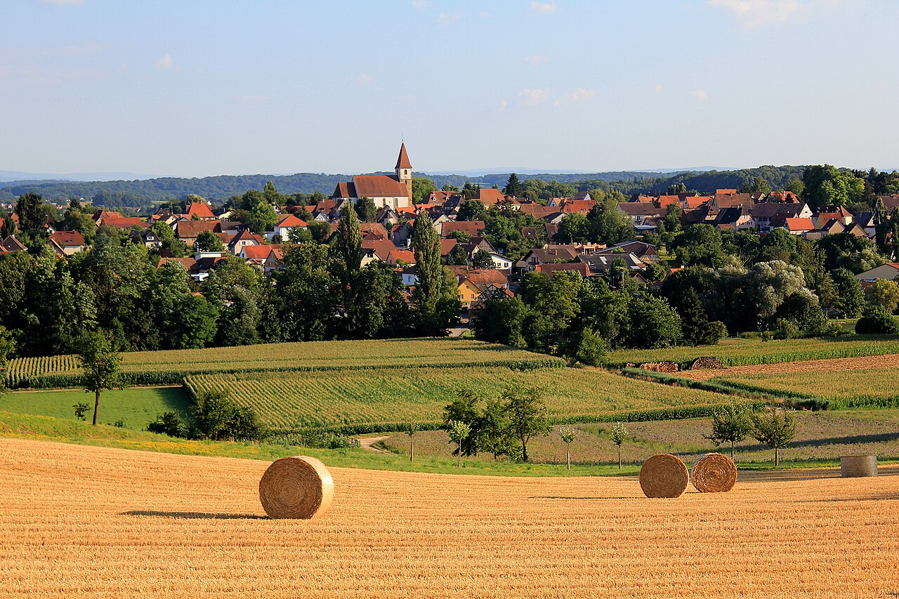 Découvrez le Haut-Rhin, un joyau de l'Alsace