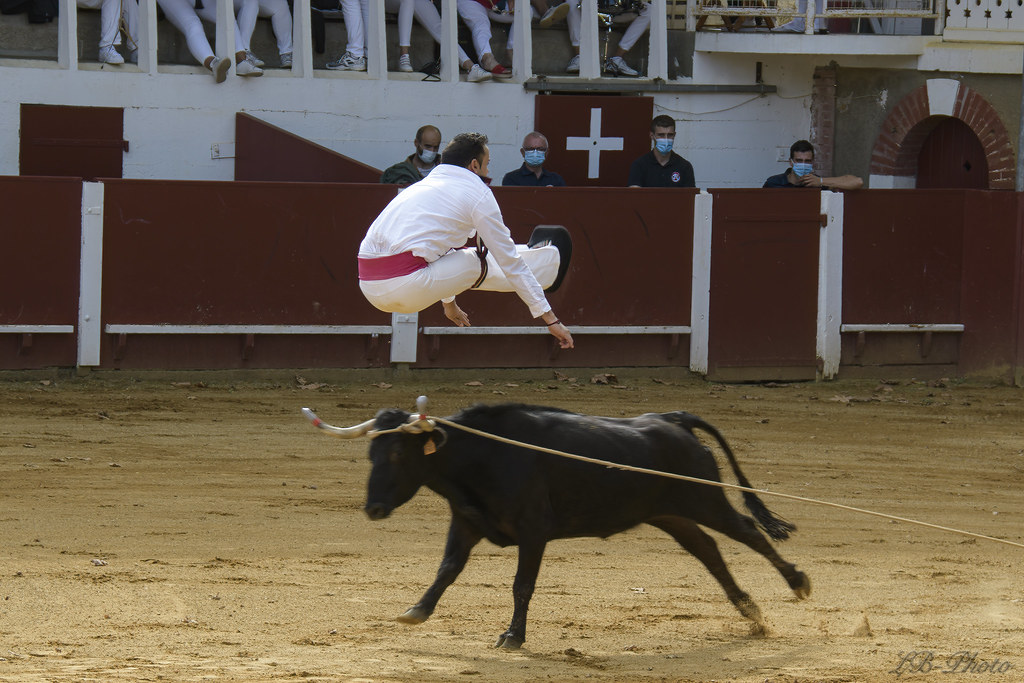 Pourquoi investir dans les Landes
