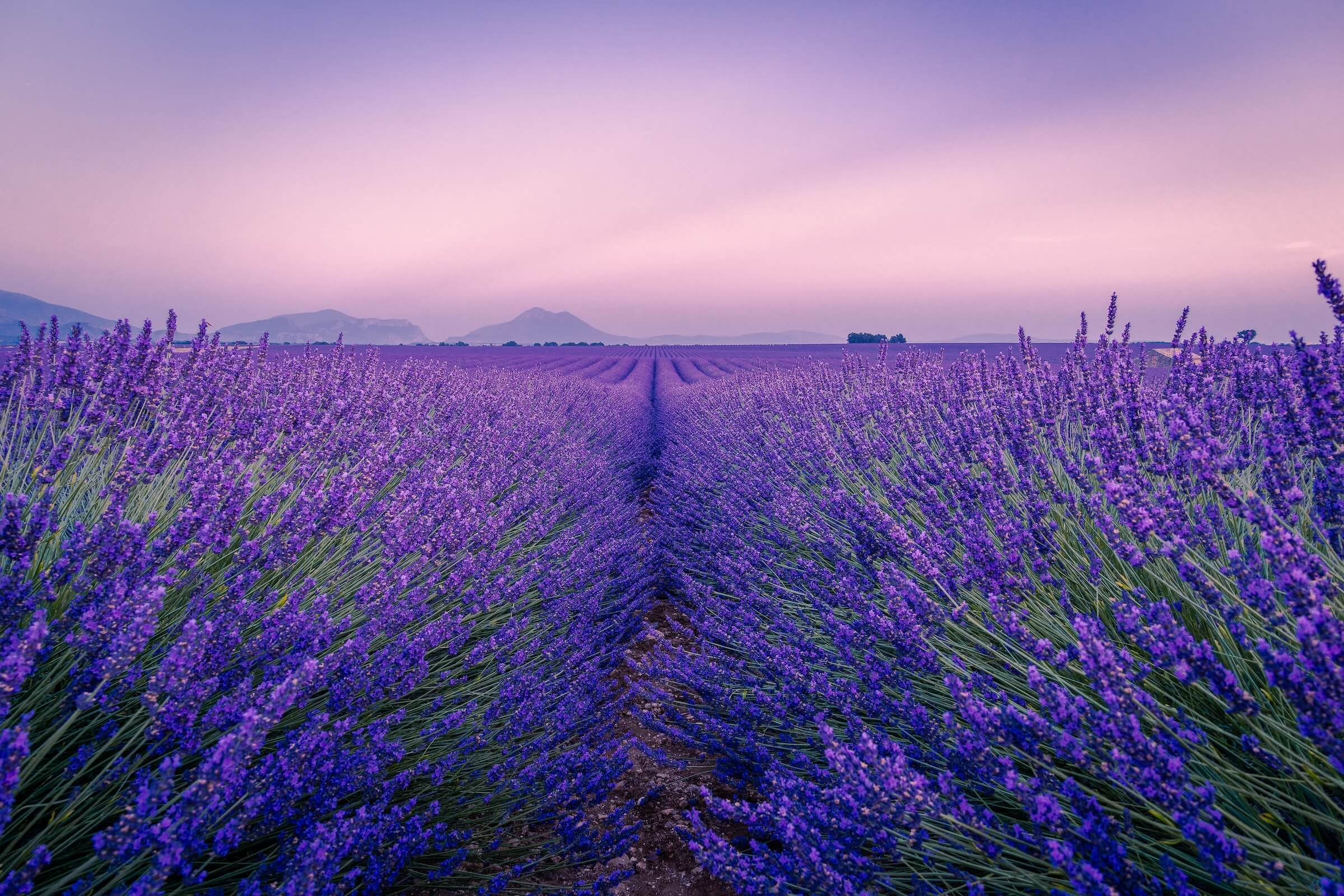 Provence-Alpes-Côte d'Azur
