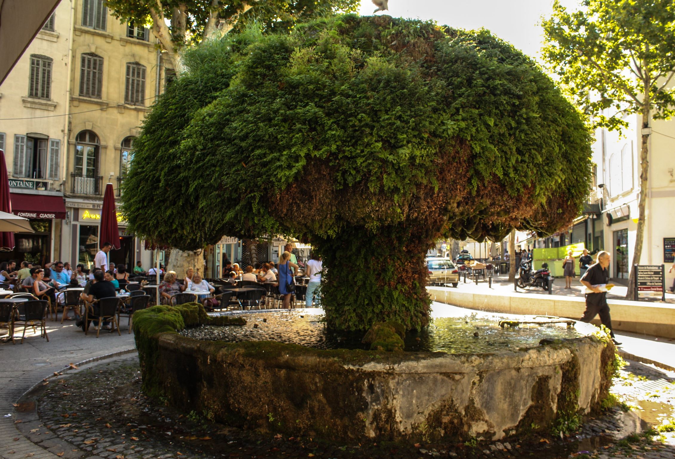 Salon de Provence